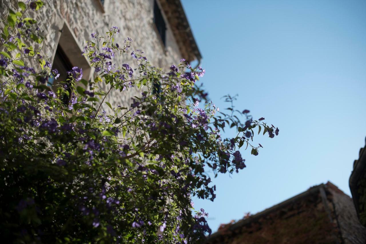 Carpe Diem Tourrettes-sur-Loup Bagian luar foto